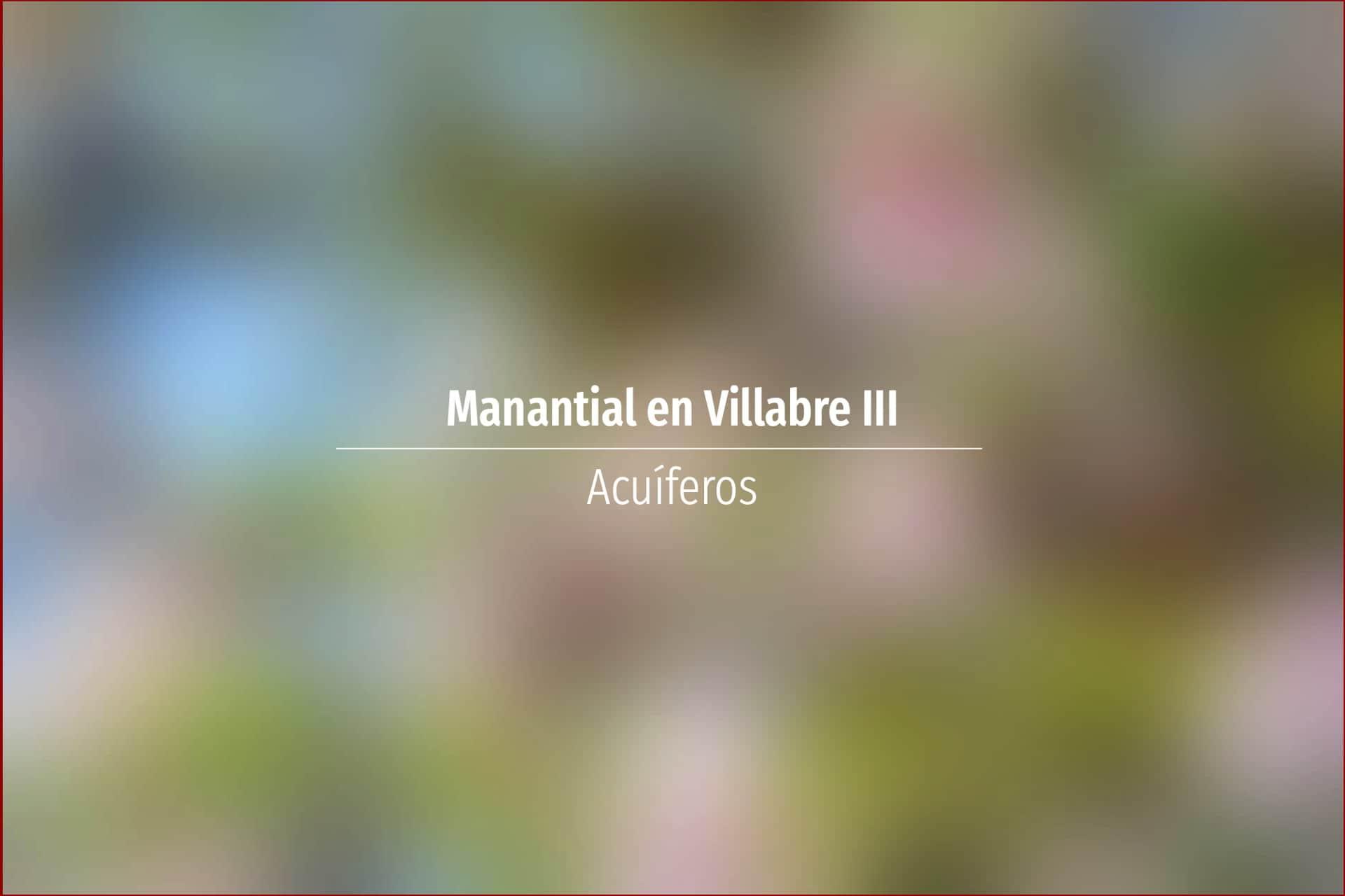 Manantial en Villabre III