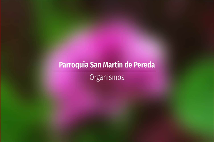 Parroquia San Martín de Pereda