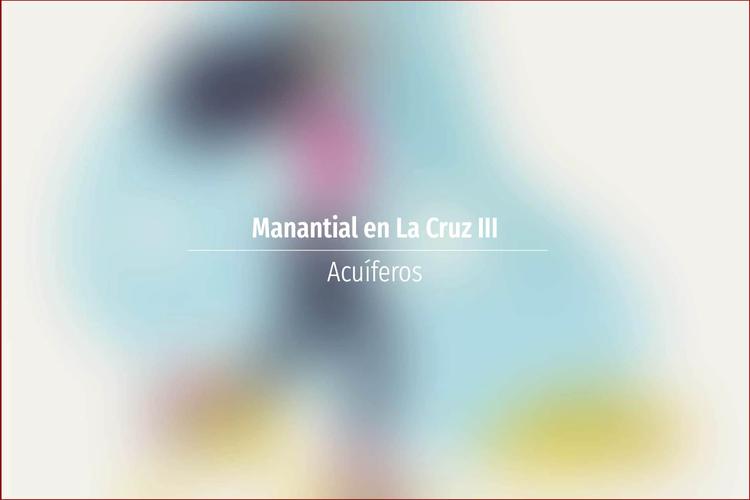 Manantial en La Cruz III