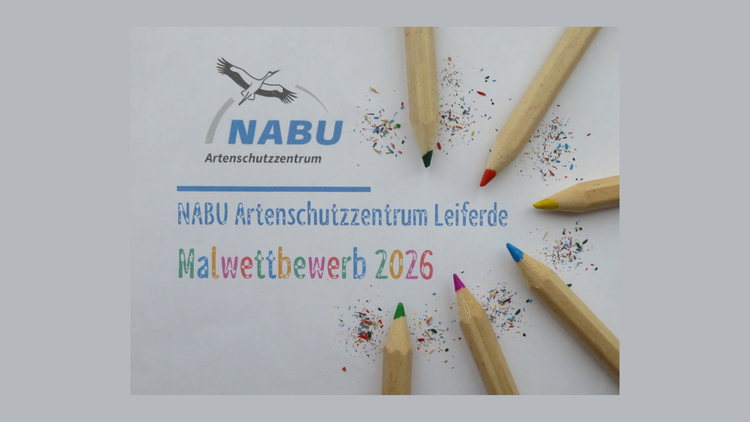Malwettbewerb im NABU-Artenschutzzentrum – „So bunt ist der Artenschutz“
