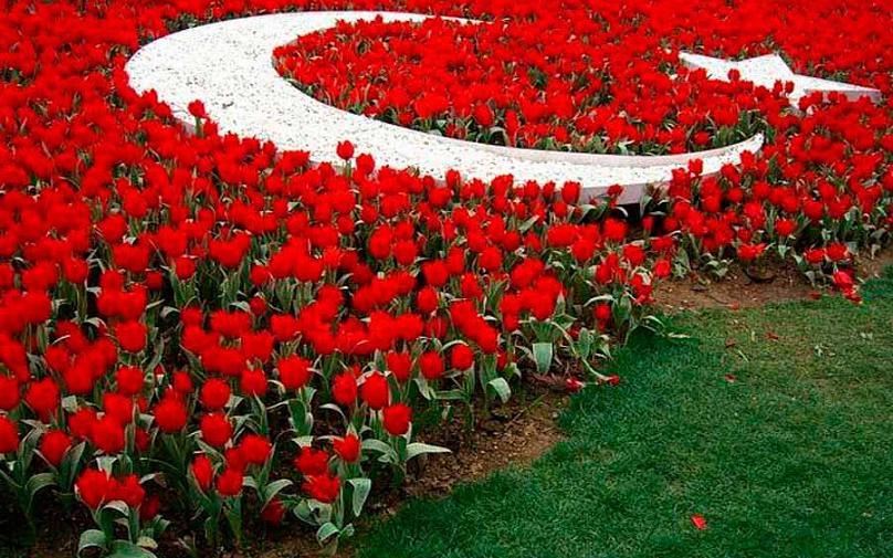 Как отмечают 8 Марта в Турции