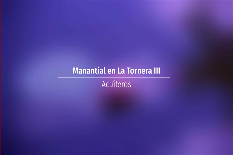 Manantial en La Tornera III