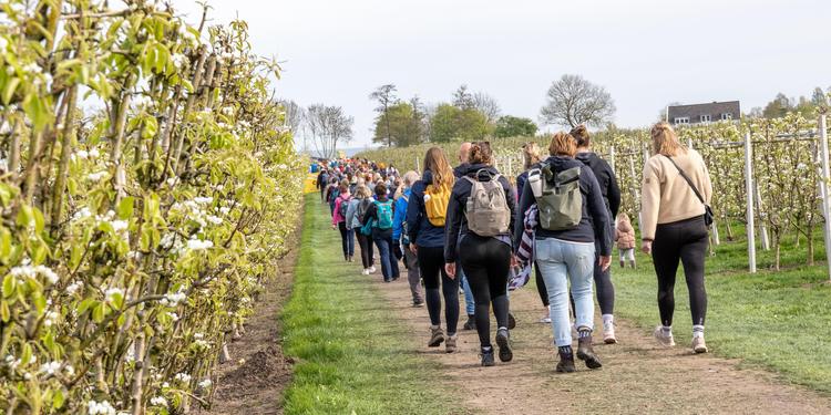Terugblik: Betuwse Bloesemtocht was een groot succes!🌸
