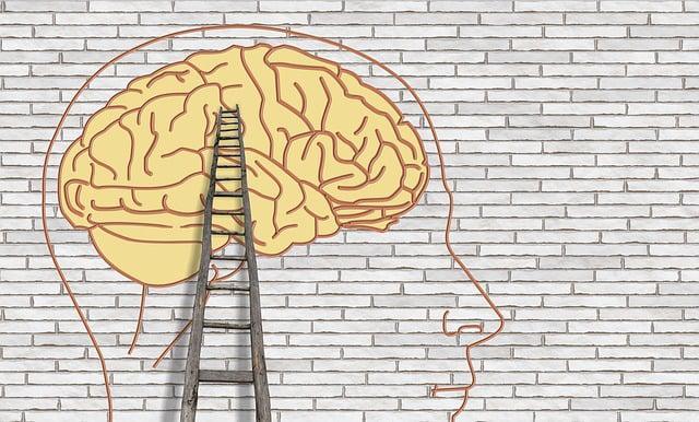 ADAPT YOUR BRAIN