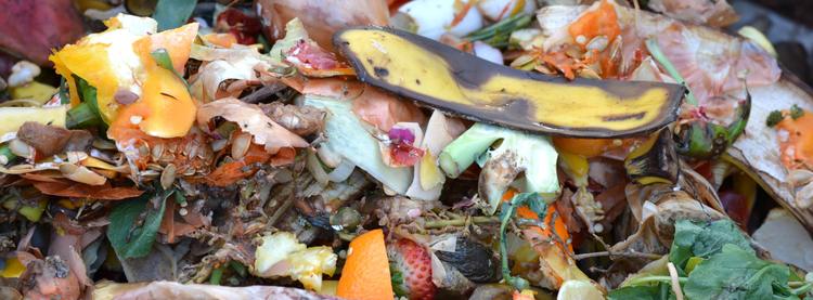 ¿Y si los restos del buffet se convirtieran en combustible? En Canarias lo intentan con TOURISM2FUEL