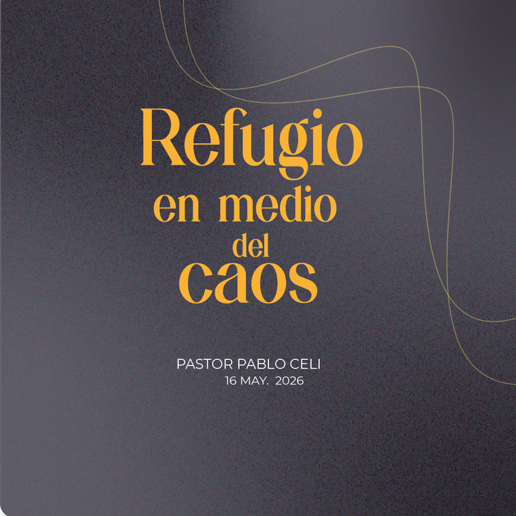 117. Refugio en medio del caos