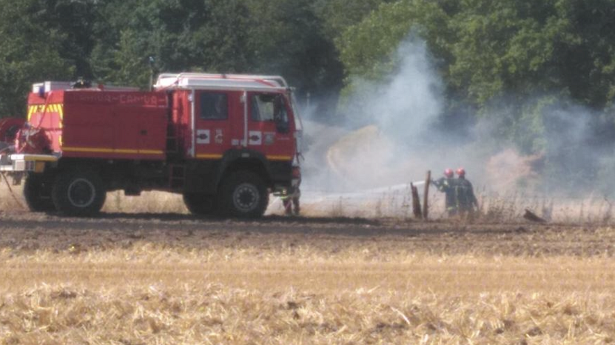 Petit-Couronne : le feu de végétation éteint, les pompiers traquent encore les points chauds