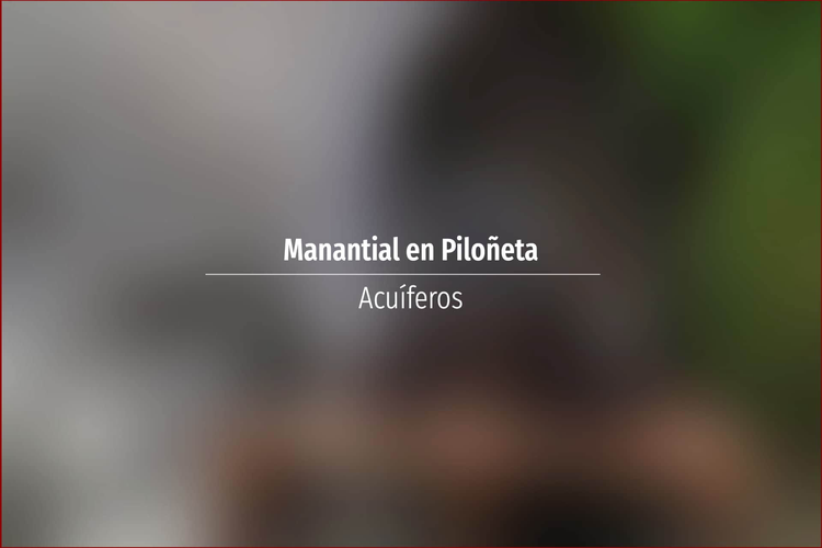 Manantial en Piloñeta
