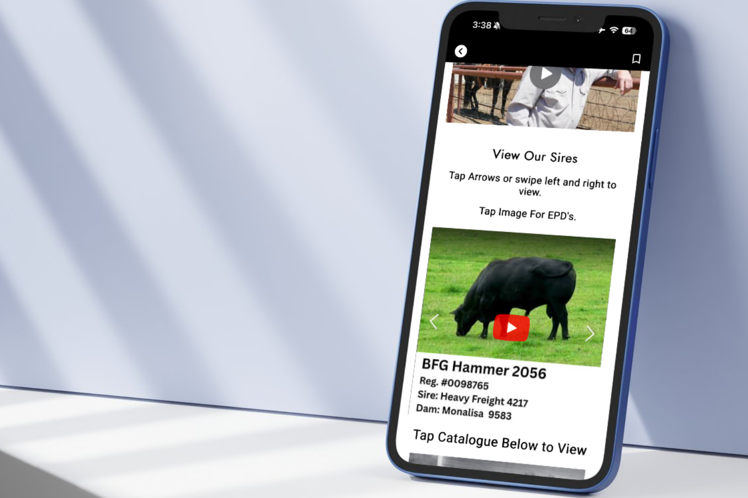 Bring Your Elite Stock Profile To Live By Adding Your Best Sires and Females