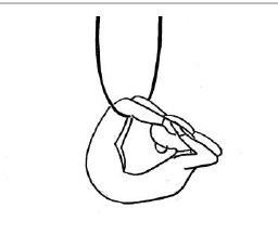 0.3 HA130 Balogh ring