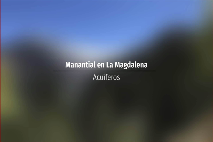 Manantial en La Magdalena