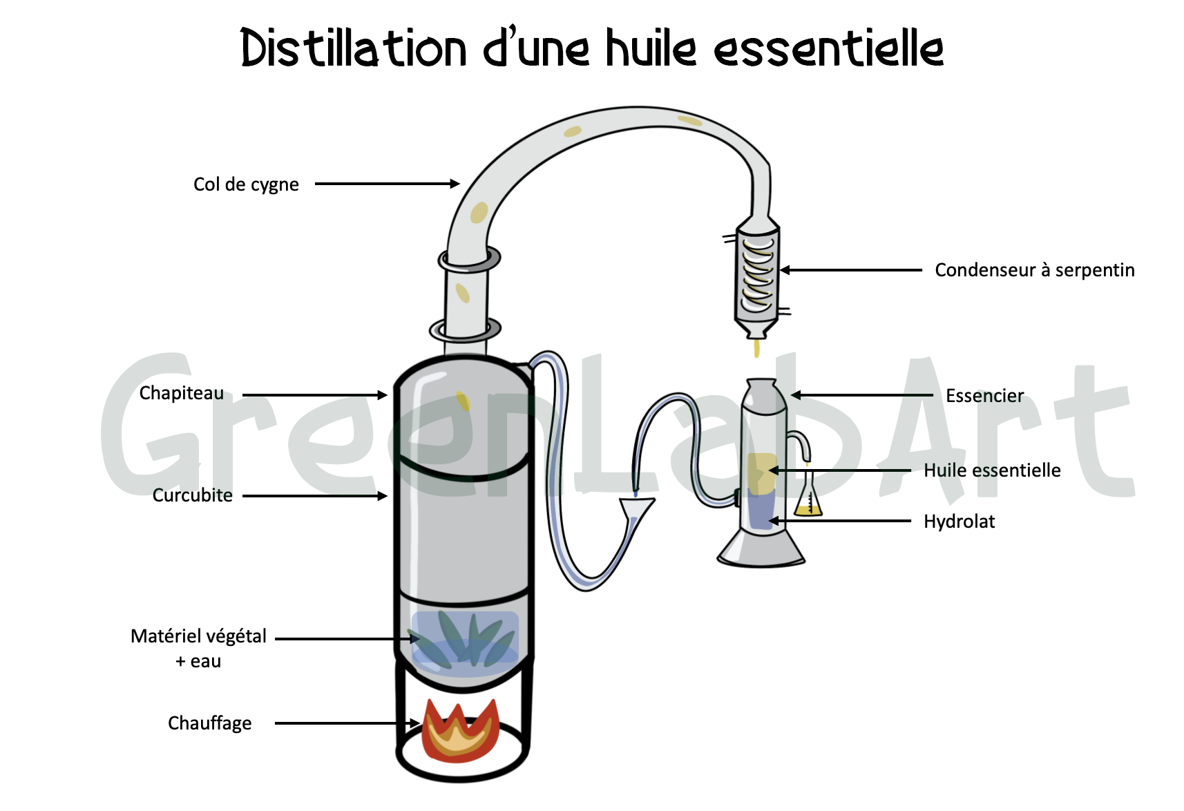 Distillation d'un huile essentielle