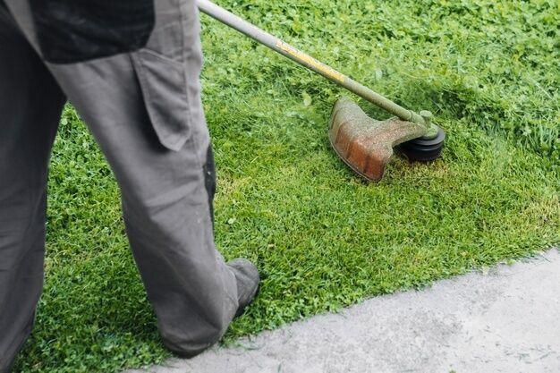 Publicada una oferta de empleo para un puesto de coordinador/a para el Tándem de Jardinería de Lebrija
