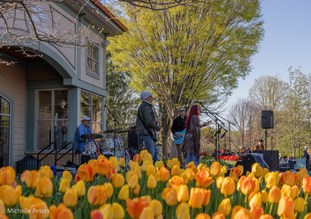 The Local’s Guide to Tunes & Blooms 2026: Rocking the Tulips 🌷🎸
