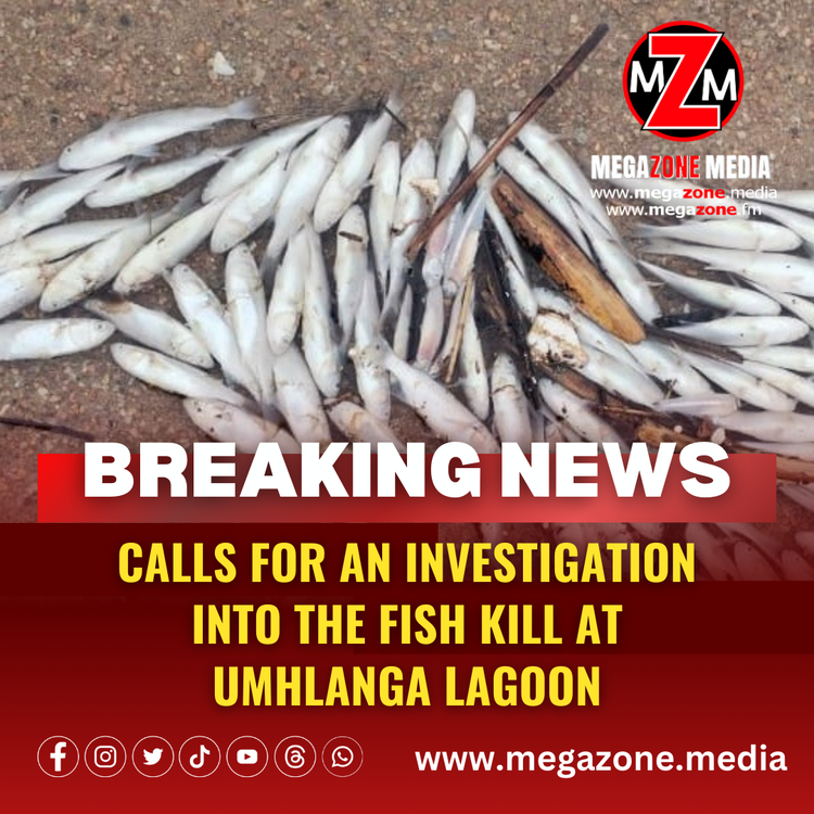 Calls for an investigation into the fish kill at uMhlanga Lagoon
