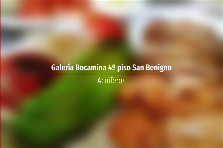 Galería Bocamina 4º piso San Benigno