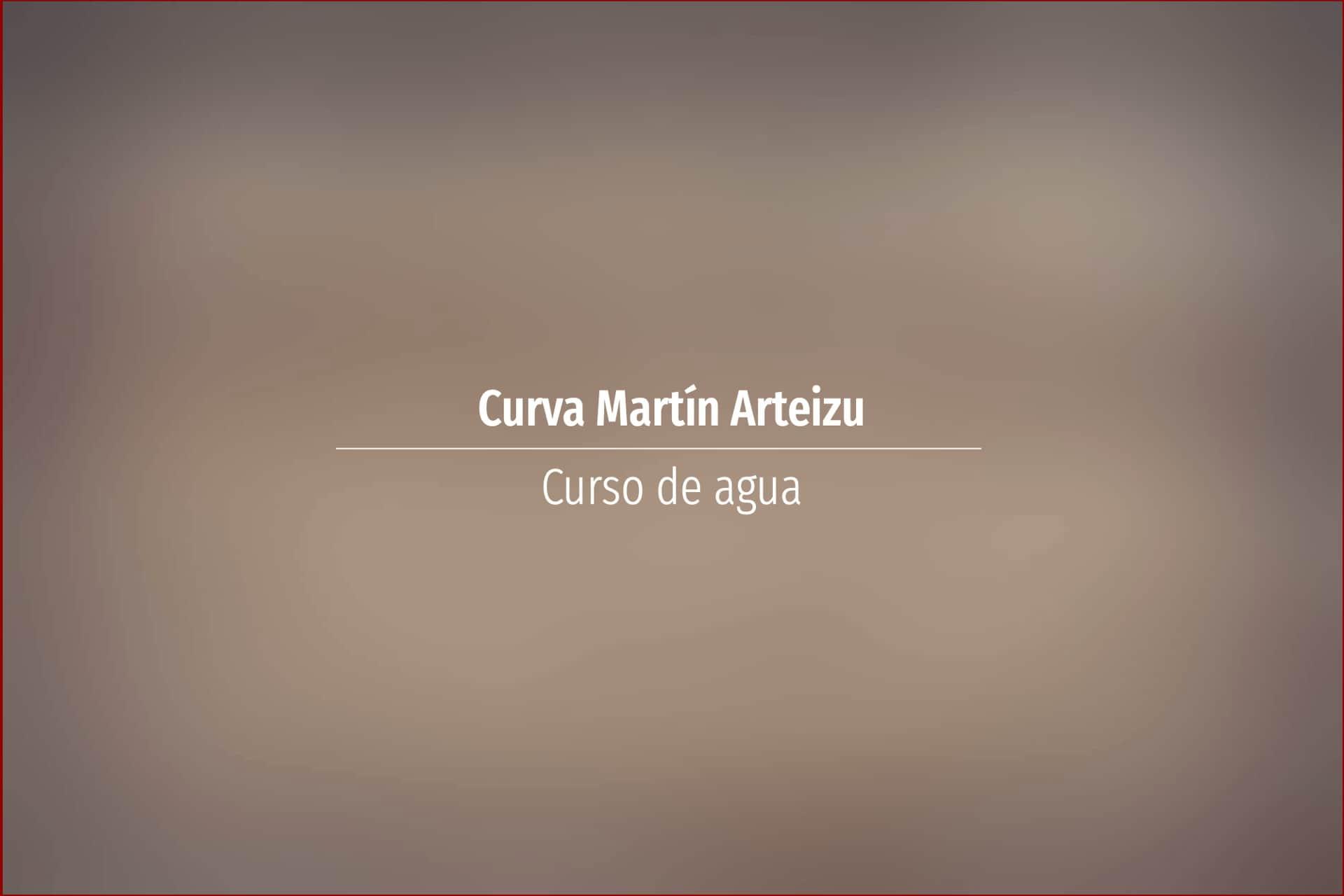 Curva Martín Arteizu