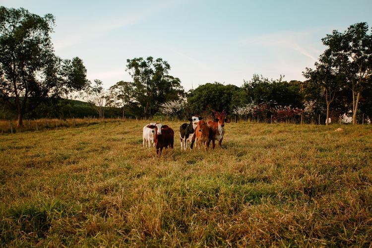 Farmers are encouraged to complete profitability survey