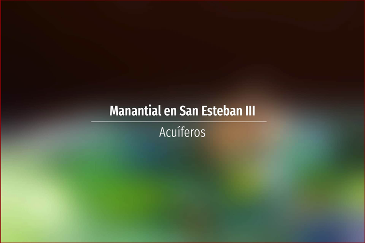Manantial en San Esteban III