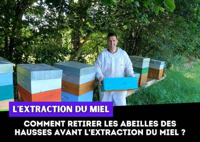 Comment retirer les abeilles des hausses avant l'extraction du miel ?