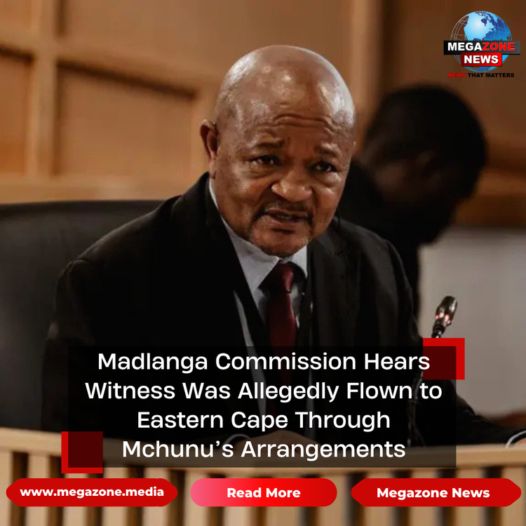 Madlanga Commission Hears Witness Was Allegedly Flown to Eastern Cape Through Mchunu’s Arrangements