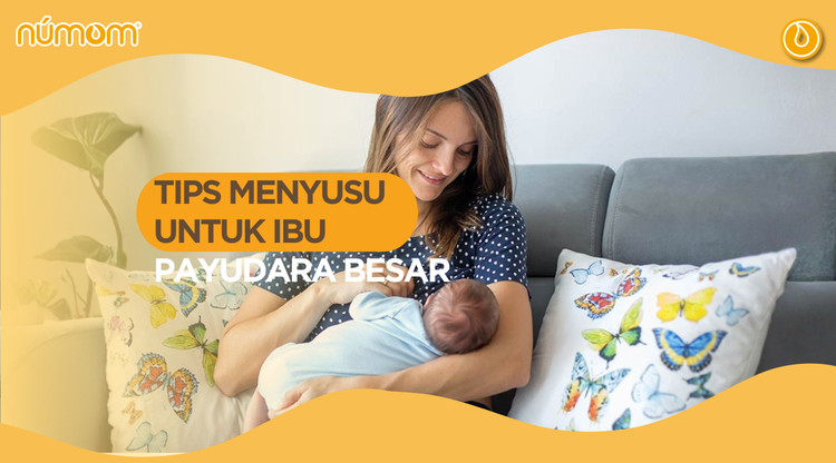 Tips Menyusu untuk Ibu Payudara Besar