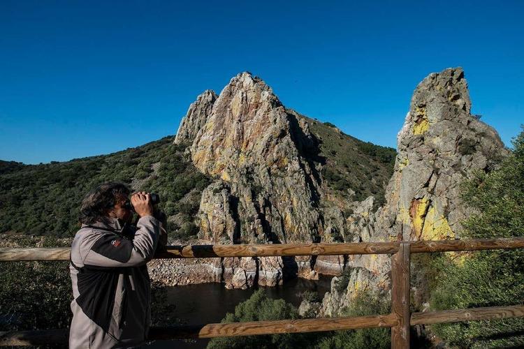 Parque Nacional de Monfragüe: Reserva de la Biosfera y paraíso de aves