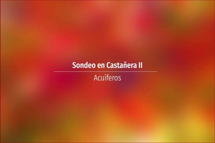 Sondeo en Castañera II