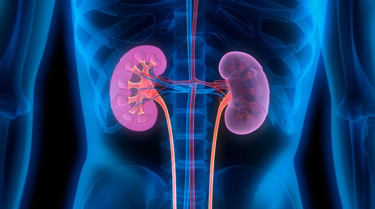 5-7PM Kidney Acupuncture Meridian