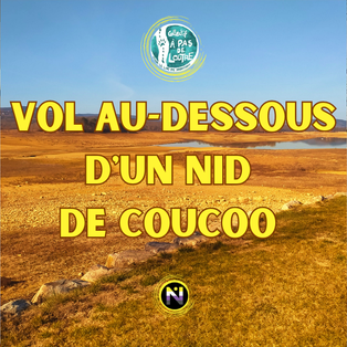 Vol au dessous d'un nid de coucoo