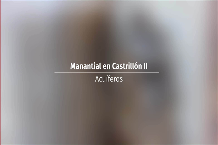 Manantial en Castrillón II