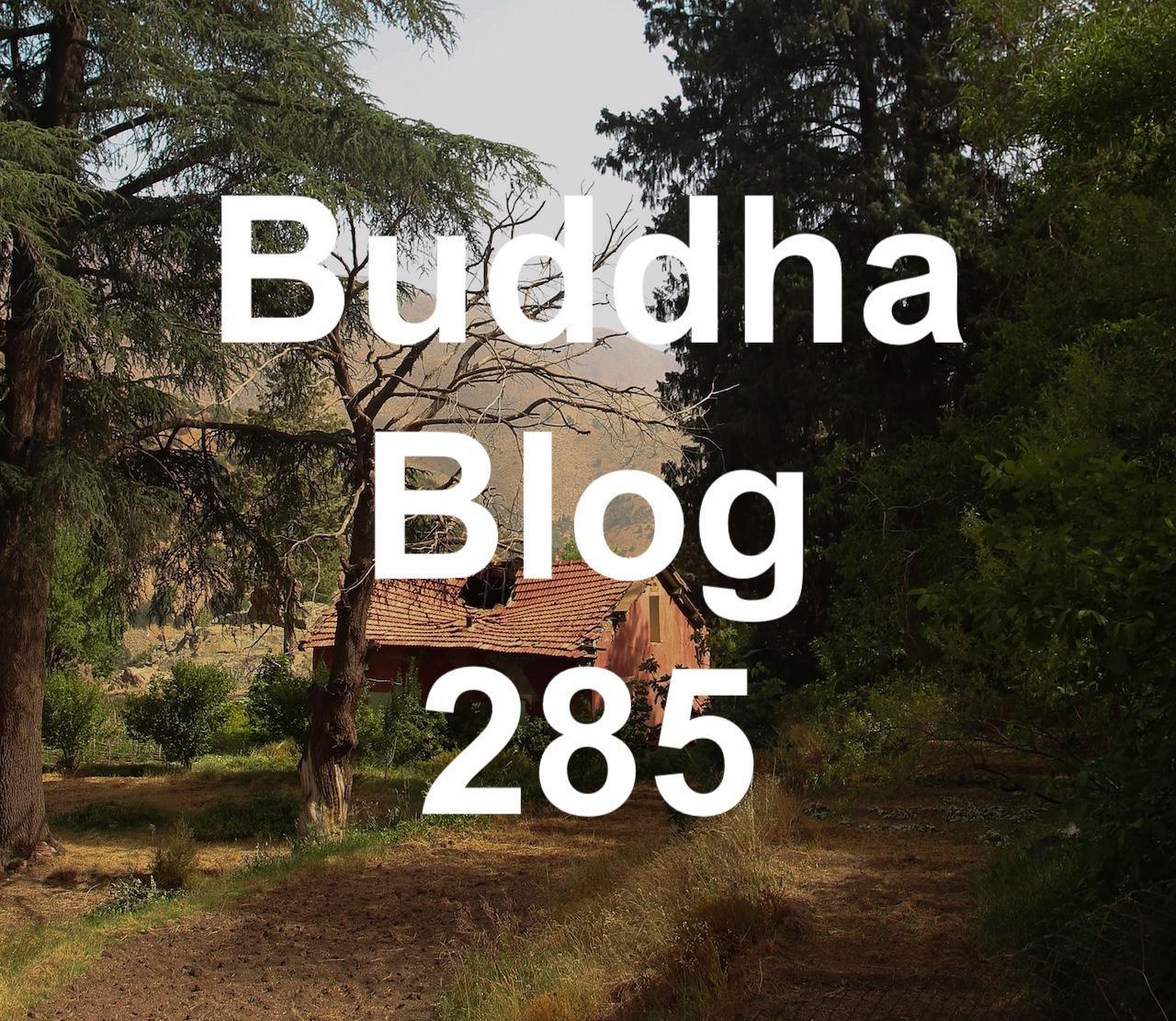 285-Zucker-Buddha Blog Podcast - Buddhismus im Alltag