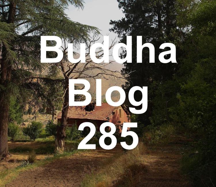 285-Zucker-Buddha Blog Podcast - Buddhismus im Alltag