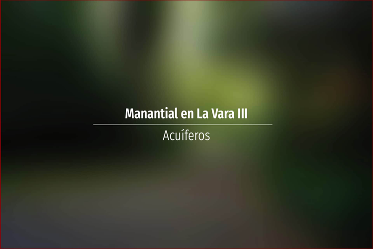 Manantial en La Vara III