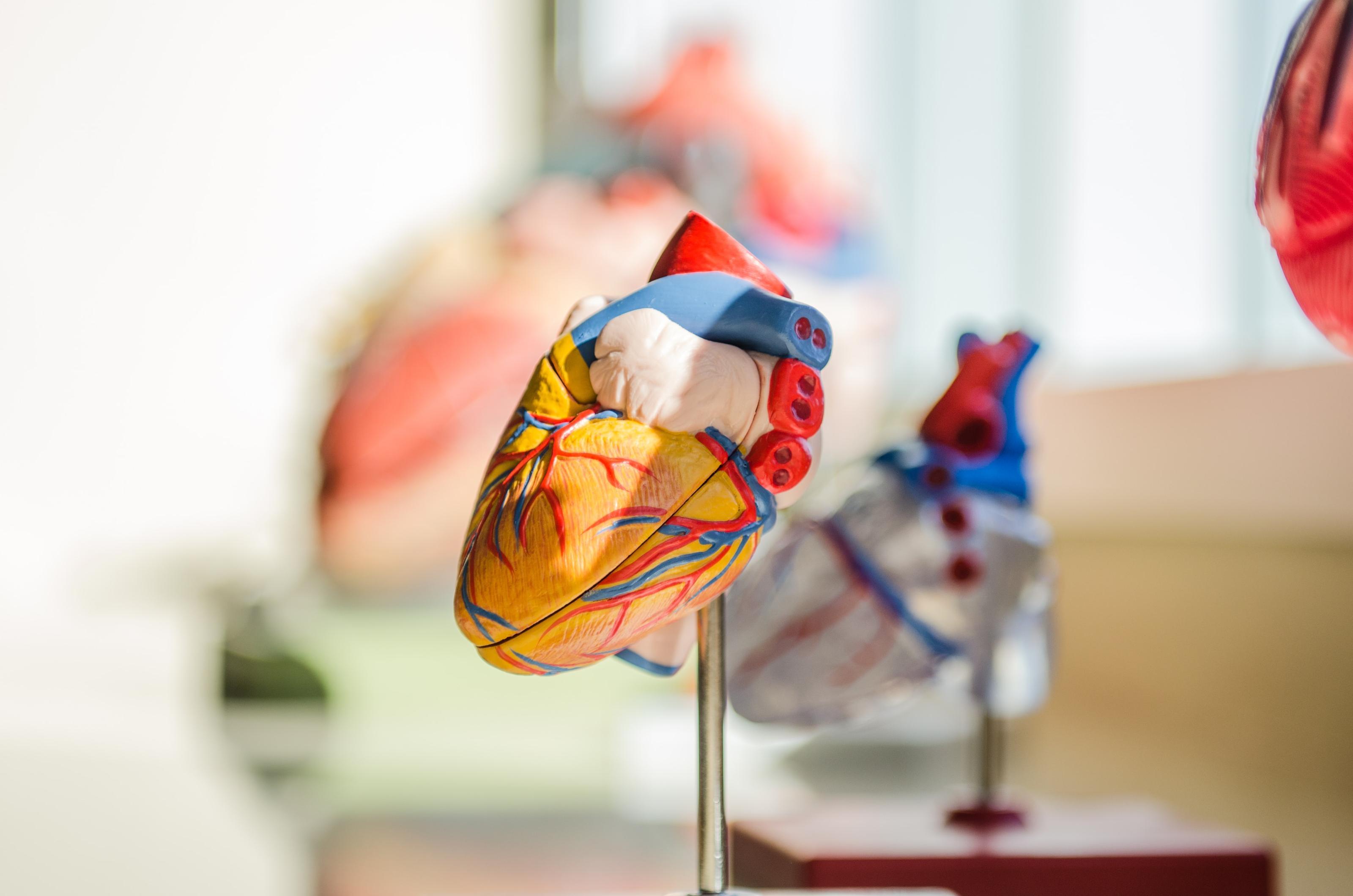 Valeurs cibles de pression artérielle chez les personnes atteintes d'une maladie cardiovasculaire