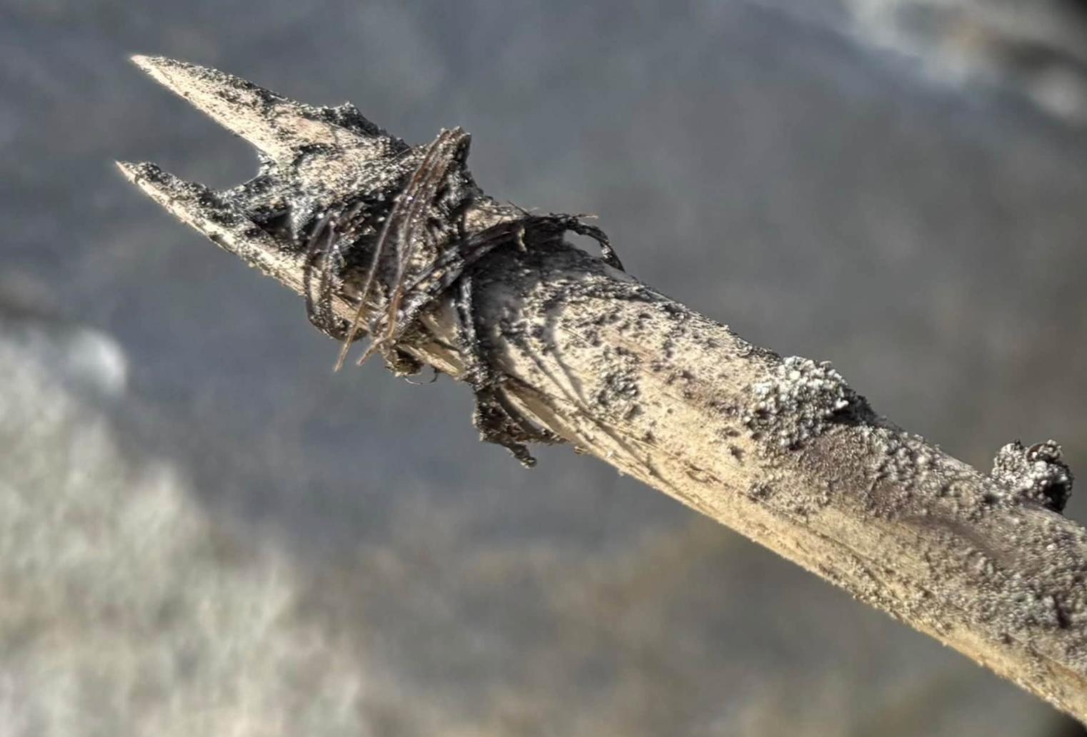 Melting ice reveals 6,000-year-old artefacts in Norwegian mountains