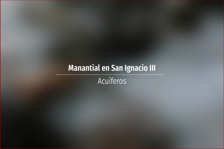 Manantial en San Ignacio III