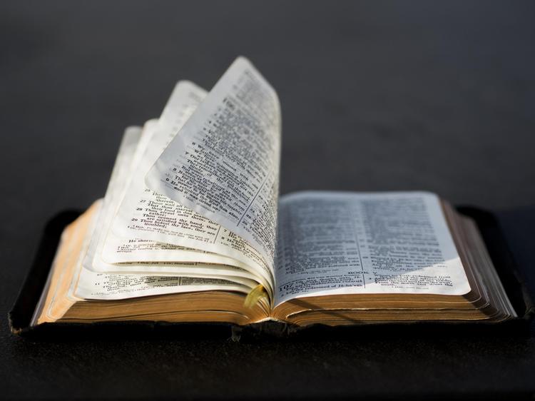 Tema 34: Las expectativas de Dios. 