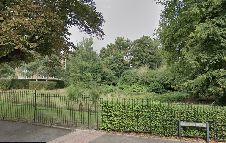 Awareness walk will help support Irish in Luton living with dementia 