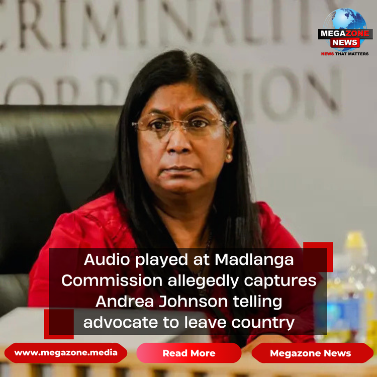 Audio played at Madlanga Commission allegedly captures Andrea Johnson telling advocate to leave country
