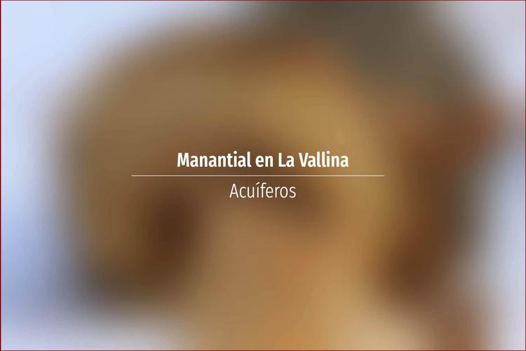 Manantial en La Vallina