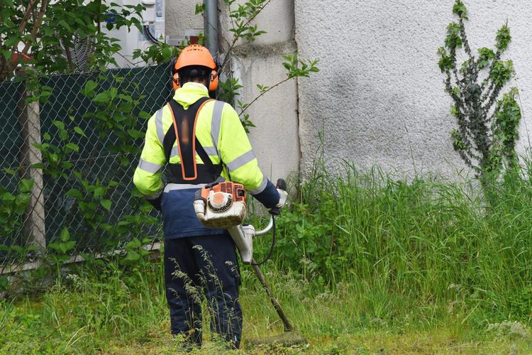 [ENEDIS] FO Énergie intervient en CSE-C sur la gestion de la végétalisation