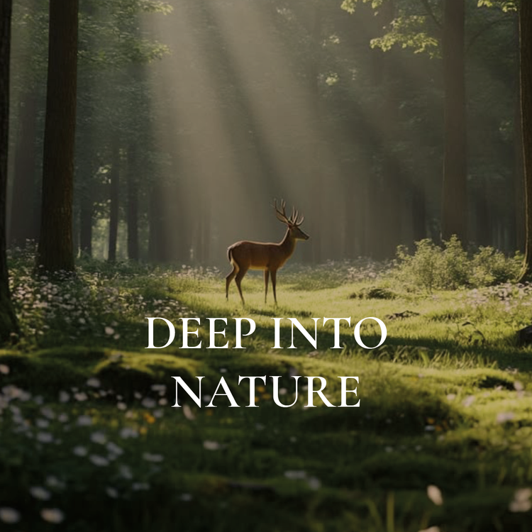 Deep Into Nature
