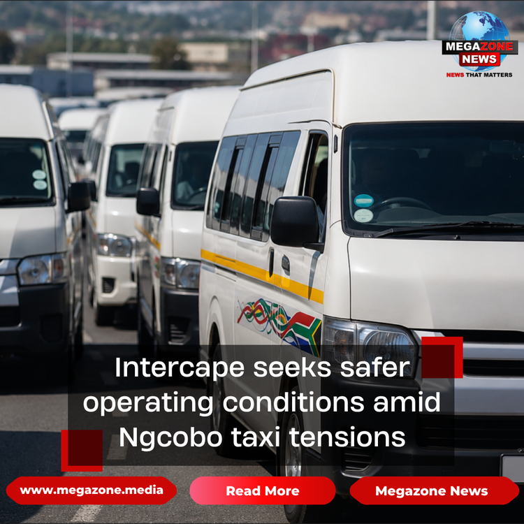 Intercape seeks safer operating conditions amid Ngcobo taxi tensions