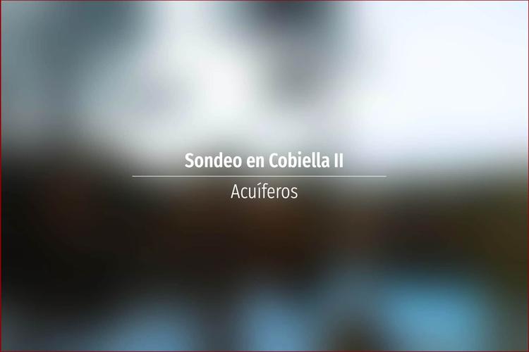 Sondeo en Cobiella II