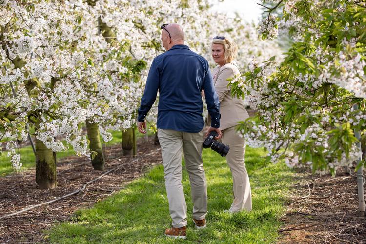 Wandelen langs de bloesem 🌸 