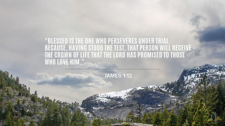 Recovery Scriptures Part 7