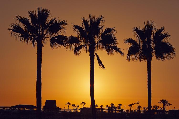 Le Canarie tra paradiso e precarietà 