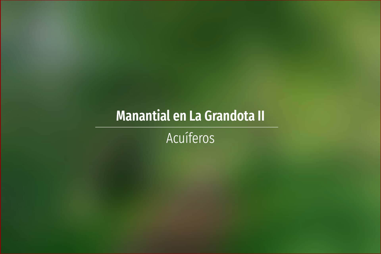 Manantial en La Grandota II