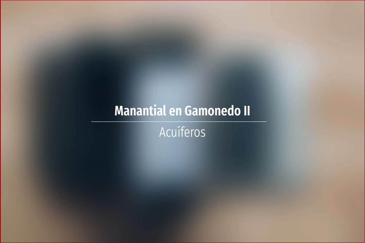 Manantial en Gamonedo II